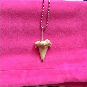 Real Shark Tooth Necklace